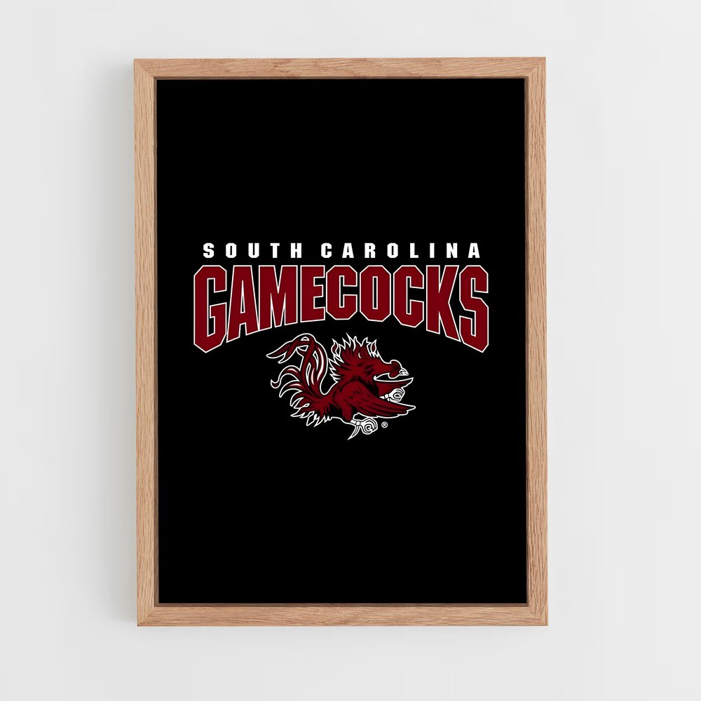 Poster Gamecock Spirit – affiche Baseball (vue 4)
